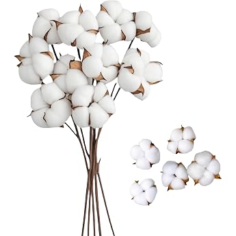 Pack of 10 Dried Cotton Branch and 5 Cotton Flower Heads Natural Dried Cotton Dried Flowers Decoration Decoration for the Perfect Wedding Flower Arrangements Home Decor