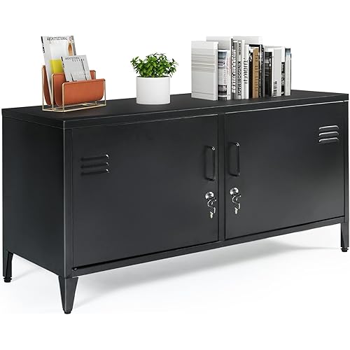 DOALBUN Metal Storage Cabinet, 2 Door Metal Locking Cabinet, Steel Lockable Office Storage Cabinet with 2 Shelves for Home Office, Garage and Warehouse (Black)