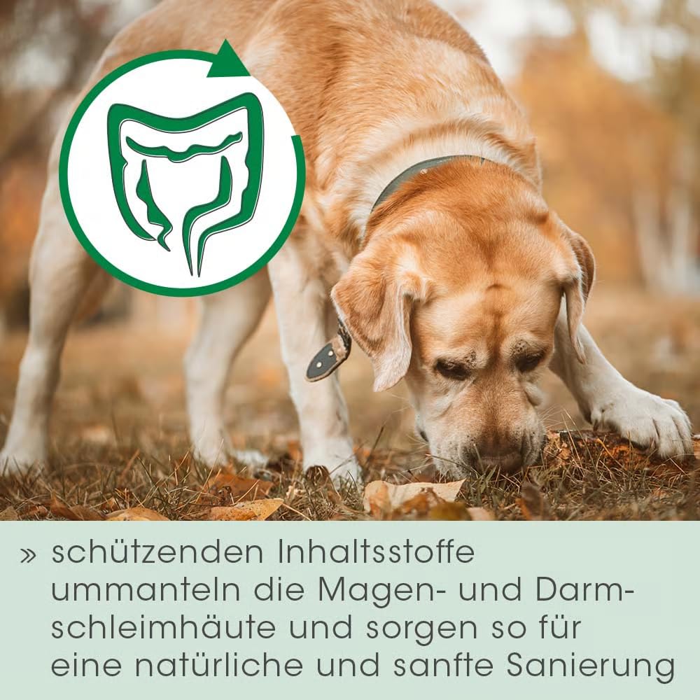 cdVet Magenschutz 60g - Pulver zur Förderung der Gesundheit von Magen und Darm für Hunde und Katzen
