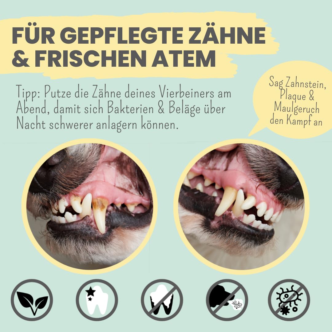 noms+ Enzymodent Enzymatische Hundezahnpasta mit natürlicher Pflege- und Präventionsformel gegen Mundgeruch und Zahnstein beim Hund