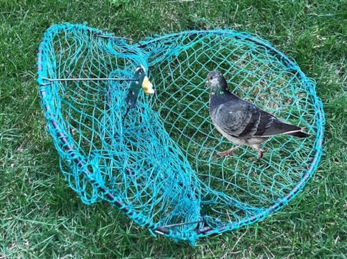 Alemon 12“ Bird, Pigeon, Quail Humane Live Trap Hunting Bird Trap, with Trap Installation Instruction