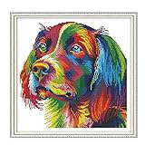 Cross Stitch Stamped Kit Quilt Pre-Printed Cross-Stitching Patterns for Beginner Kids & Adults- Embroidery Needlepoint Starter Kits,Rainbow Dog