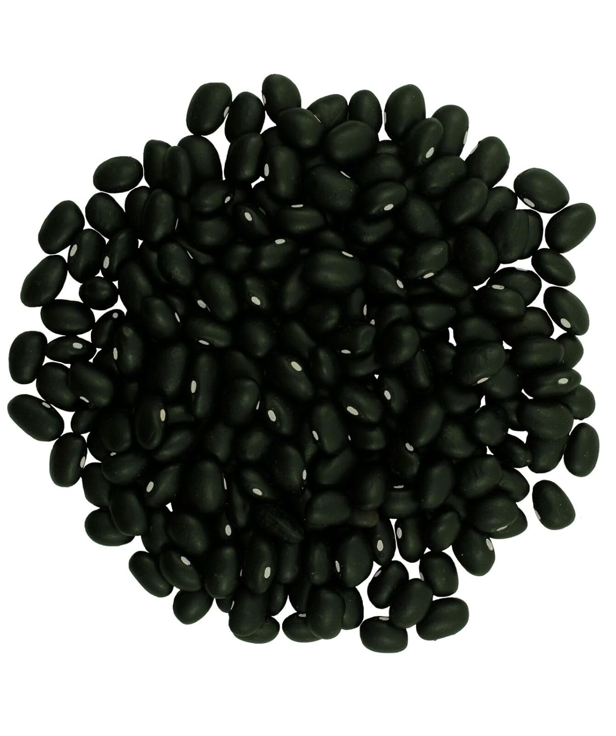 CLEAR CREEK Black Beans | 25 LBS | Emergency Food Storage Bucket | Non-GMO | Vegan | Bulk