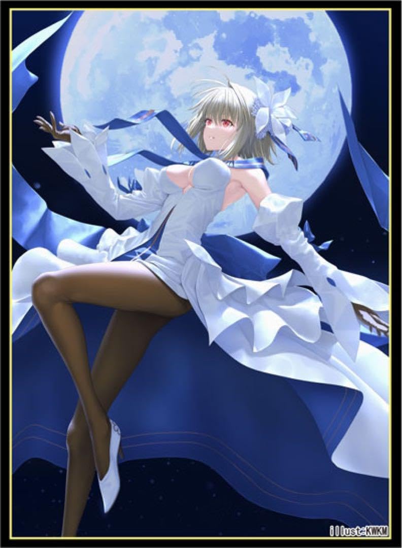 Amazon.co.jp: 月姫 Fate FGO アルクェイド カードスリーブ : ホビー