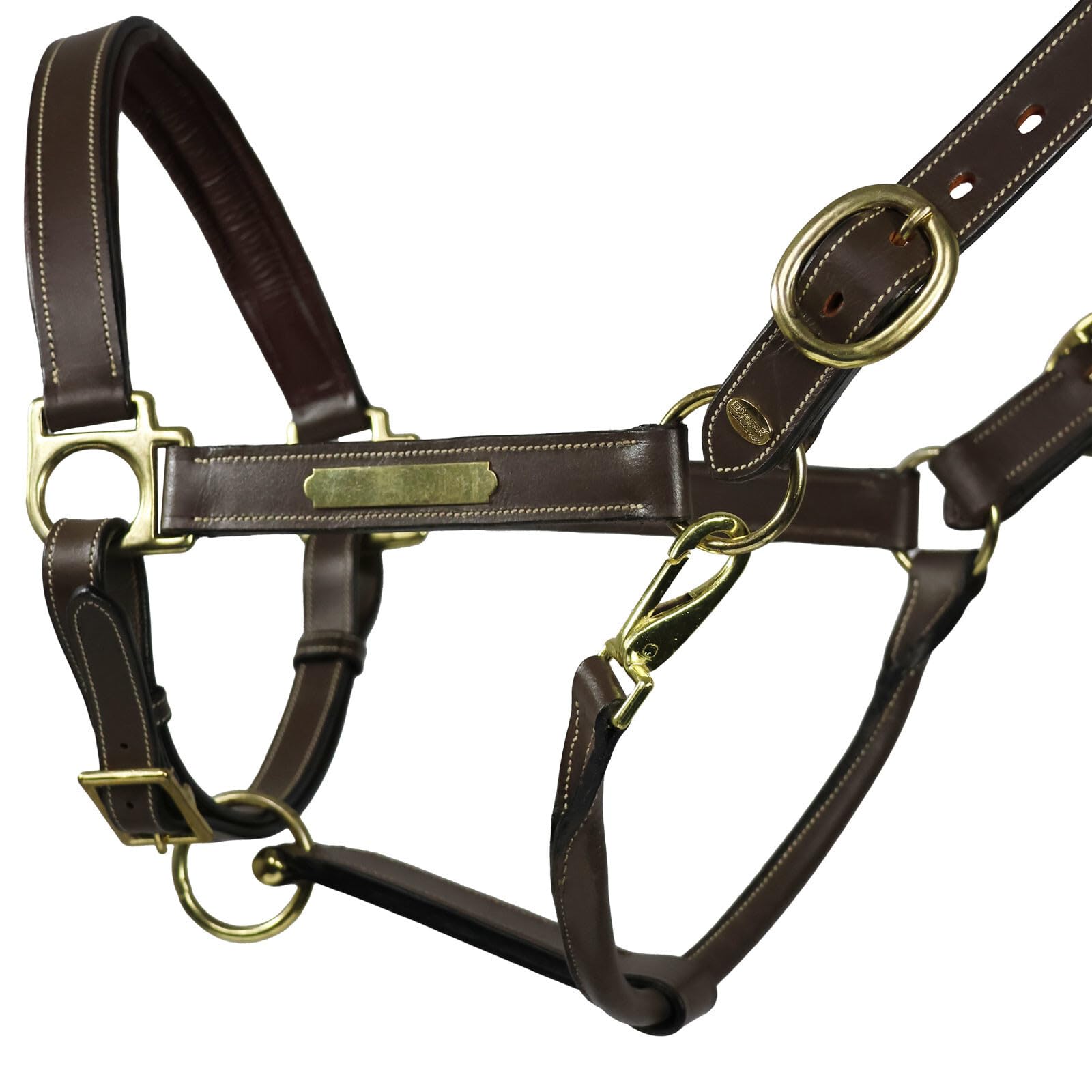 EQuest Inscribe - Cabestro de piel para caballos, color mocha, S