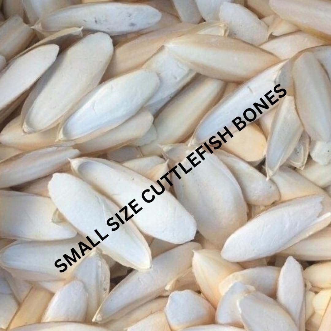 Cuttlefish Bones for Birds Cuttlebones Calcium Supplement (Small Cuttlefish Bones, 100g)