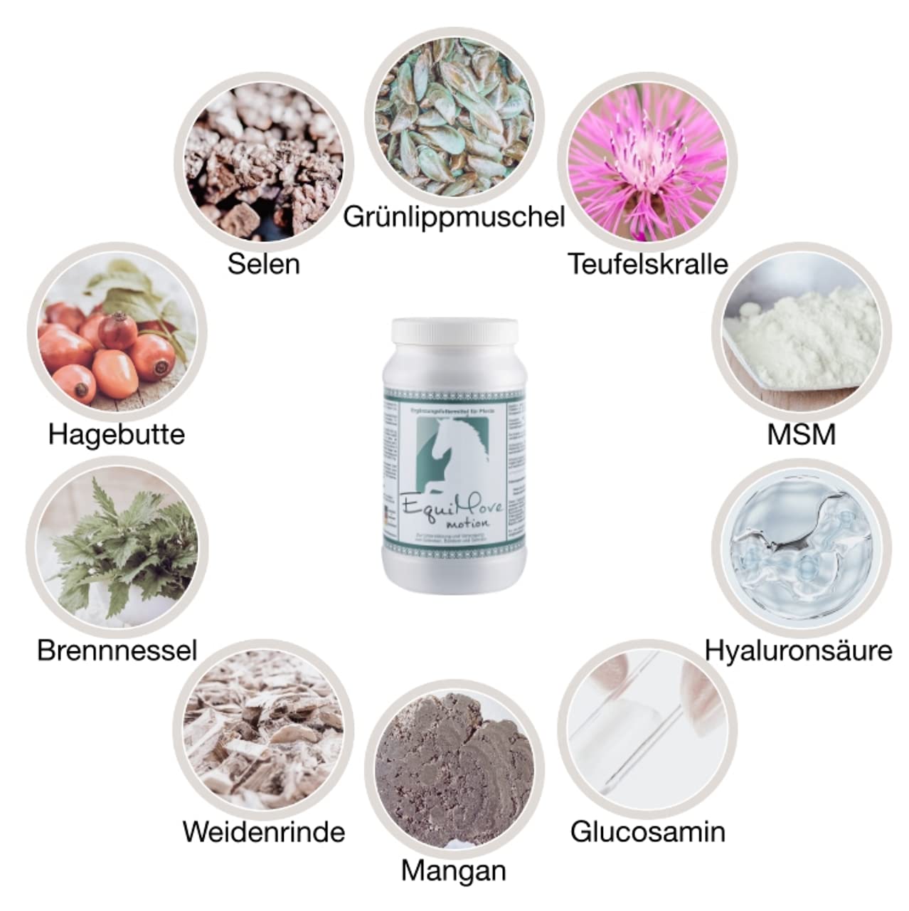Set Bewegung, Haut und Fell aus je 1 Dose Motion und 1 Dose Dermal