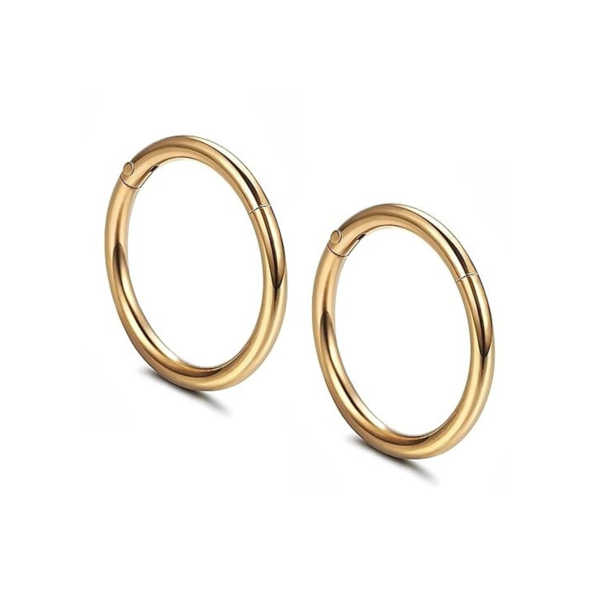 Serenity Sleepers Hypoallergenic Nose Rings 18G 316l Surgical Stainless Steel Seamless Clicker Earrings Hinged Segment Ring Body Piercing Hoop Lip