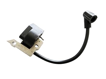 Amazon.com: New Ignition coil for Homelite,Ryobi PS02762