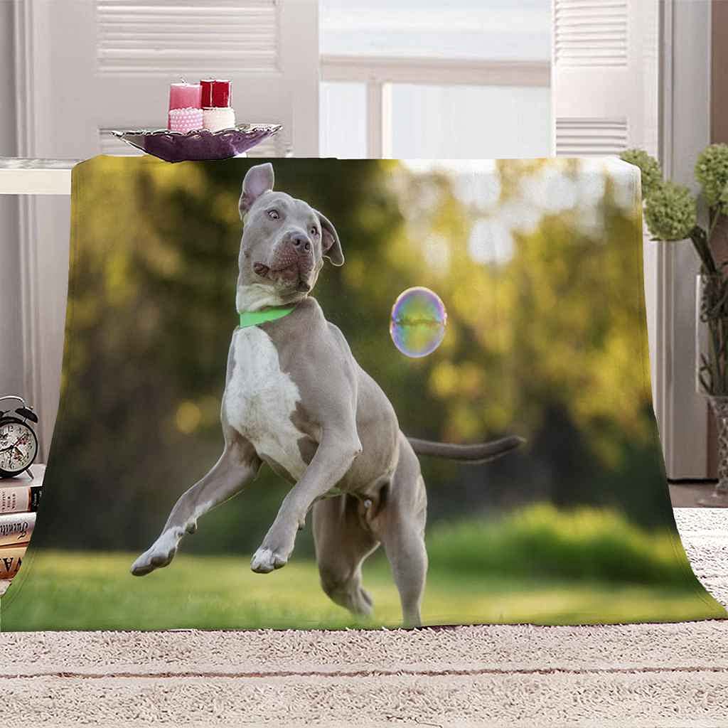 Couverture flanelle chien animal gris, plaid microfibre douce canapé lit 150x200