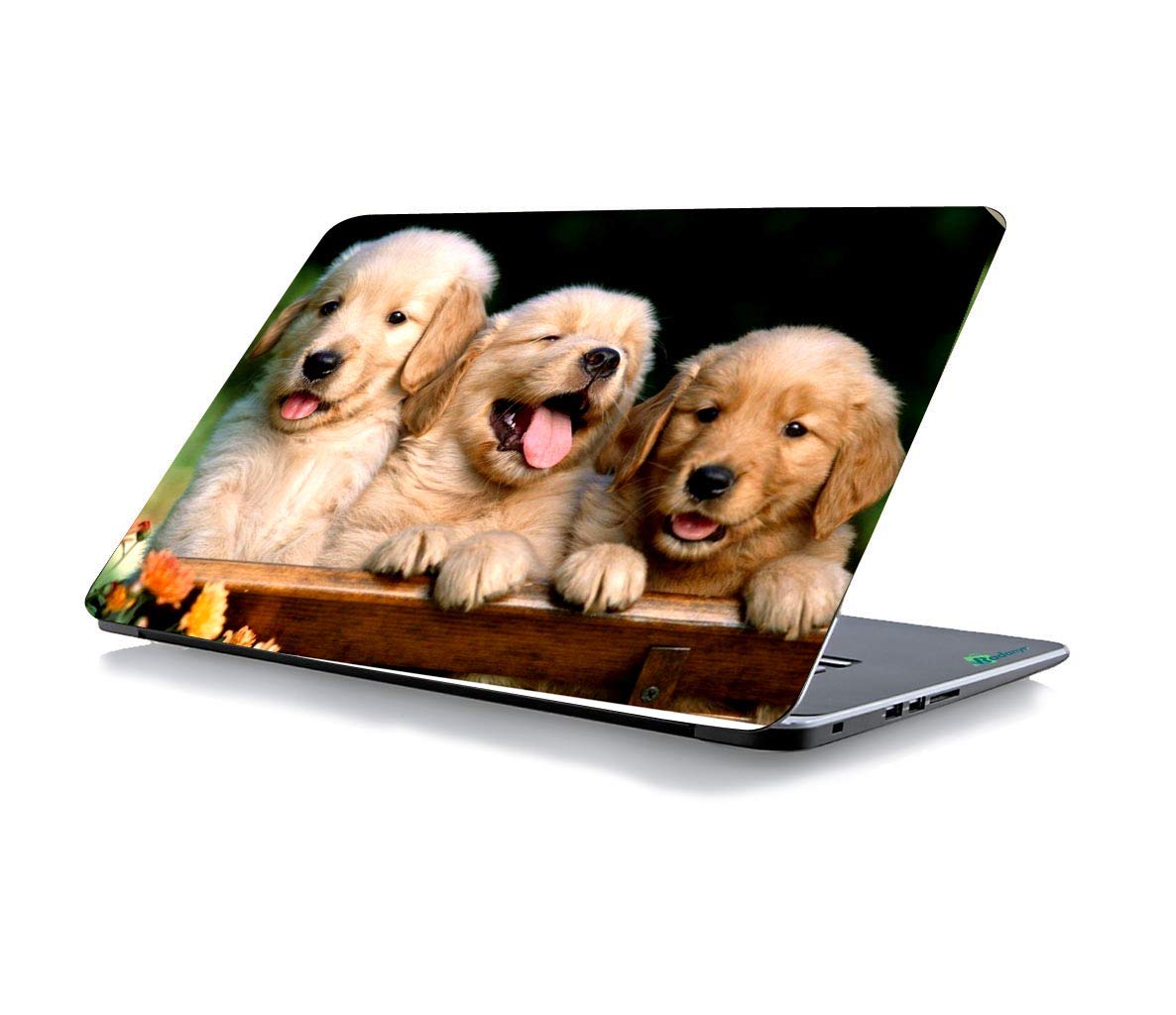 See full amazon price history chart for ISEE 360® Puppies Laptop Skin Cover Laminated Stickers Girls Boys Office Vinyl Printed Multicolored Floral Small HD Quality Sticker 15.6 Inches ISEE 360® Puppies Laptop Skin Cover Laminated Stickers Girls Boys Office Vinyl Printed Multicolored Floral Small HD Quality Sticker 15.6 Inches (B08MKW1ZP7) Amazon Price History, Amazon Price Tracker