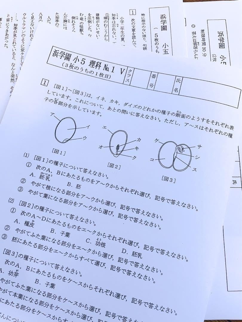 浜学園 小5 2023年度 3科目 解答用紙付 Vクラス 復習テスト 国