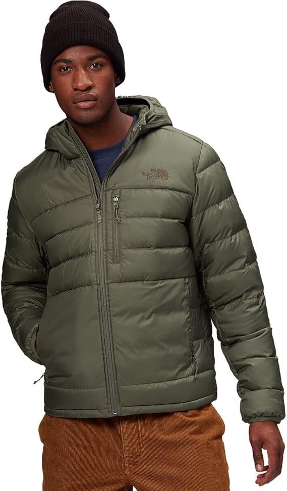 the north face hooded coat