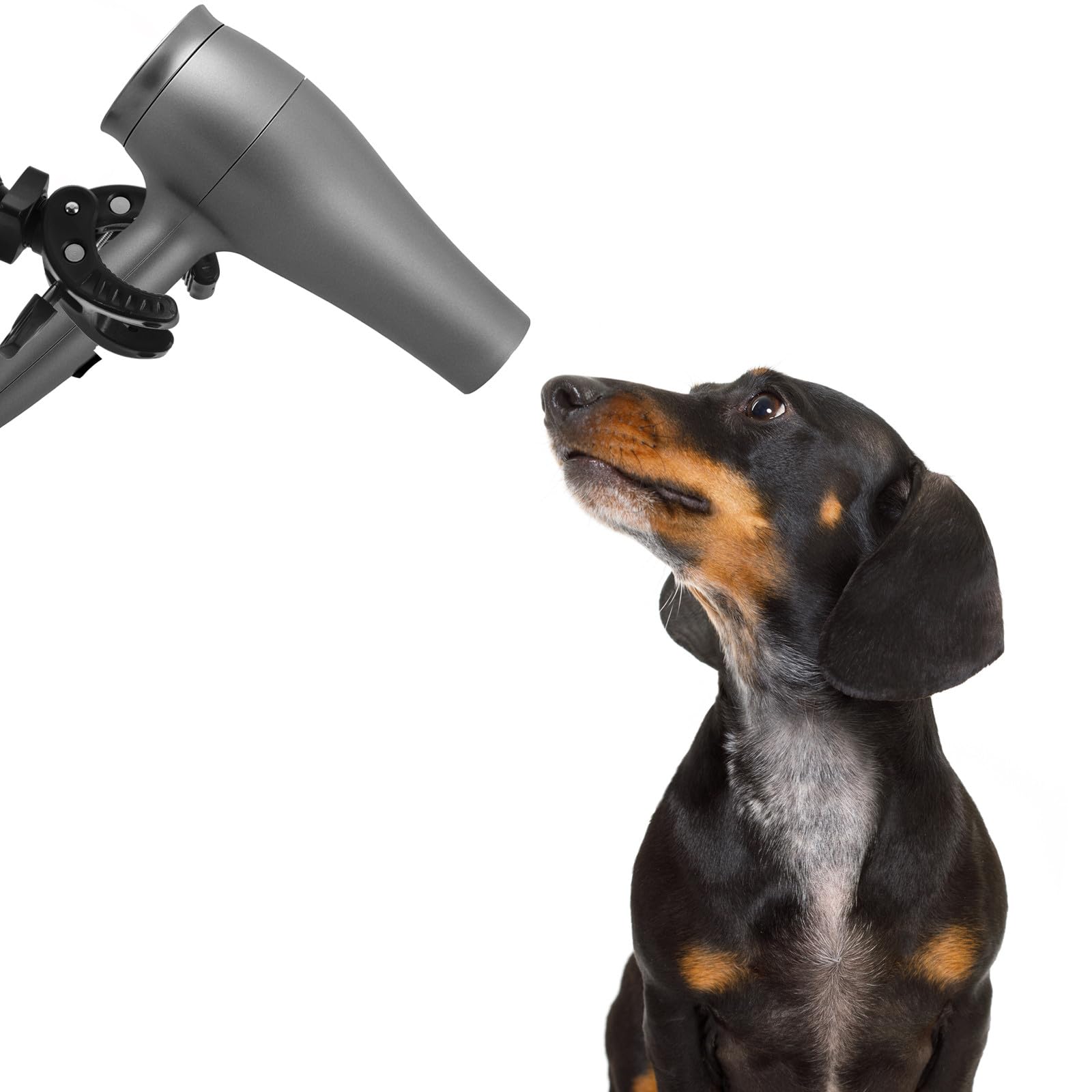Supporto per Asciugacapelli per Toelettatura Cani Regolabile 360° Nero