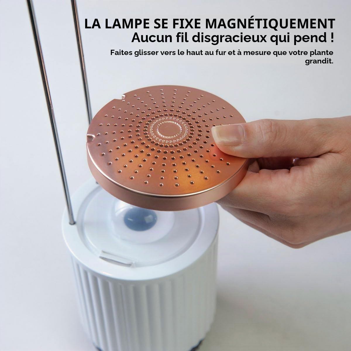 Mini Smart Garden Hydrovase, Kit avec Capsules Pétunia Click & Grow, Blanc | Mini Potager Intérieur. Arrosage Automatique. Lampe de Croissance LED. Compatible avec toutes les capsules Click & Grow.