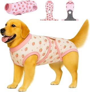 Dog Cat Recovery Suit Pet Glam After Surgery Onesie Cone Alternative Post Surgical Bodysuit Neuter & Abdominal Wound Care ...