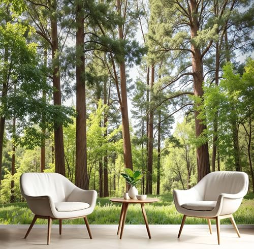 Papel pintado bosque natural de gran formato para renovar paredes 2