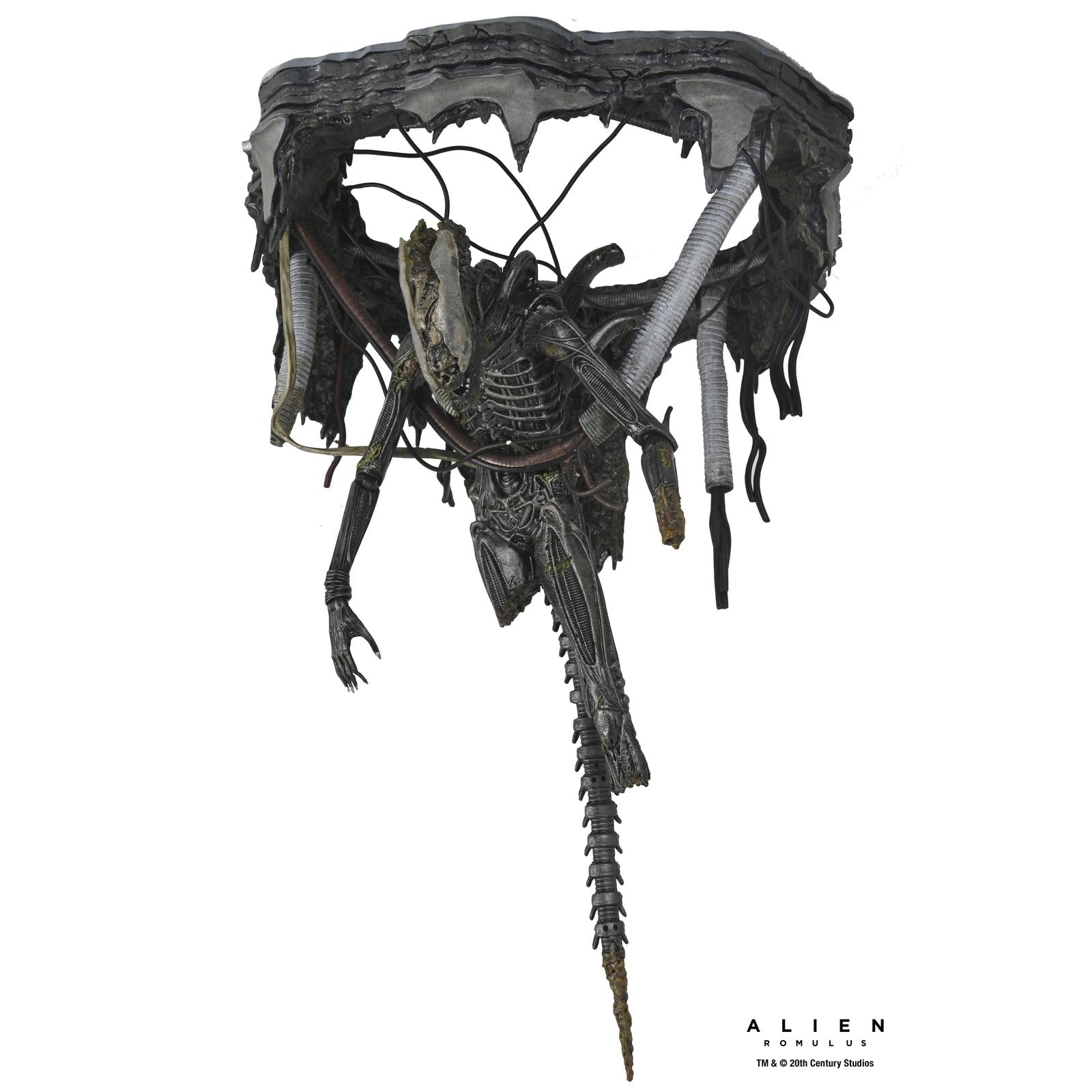 Amazon.com: Alien: Romulus - Deluxe Suspended Lab Xenomorph XX121