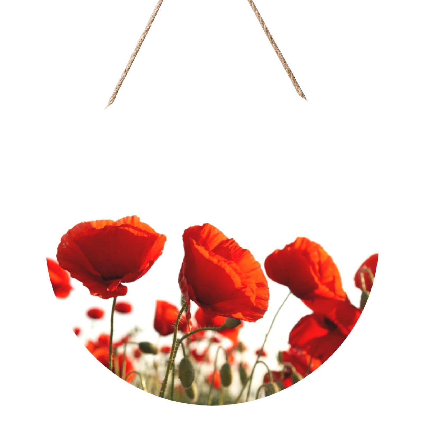 InOmak Red Poppies, Round Wood Panel Painting 12 in, Wall Hanging Painting For Home
