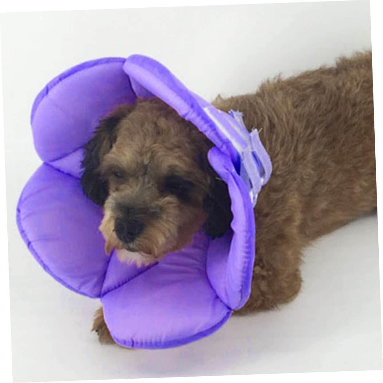SUPVOX 2 Pz Collana per Animali Domestici Collare per Il Recupero del Gatto Collare Gonfiabile Scudo per Animali Domestici elisabettiano per Cani Anti-afferramento i Fiori