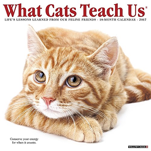 What Cats Teach Us 2017 Calendar: Life's Lessons Learned from Our Feline Friends