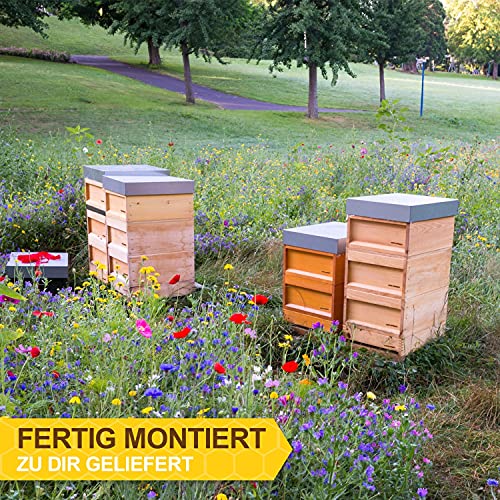 APIFORMES Deutsch Normal Maß (DNM) - Weimutskiefer 10 Waben Beute mit 30 Rächmchen Magazinebeute nach Dr. Liebig Imkerei… – Bild 6