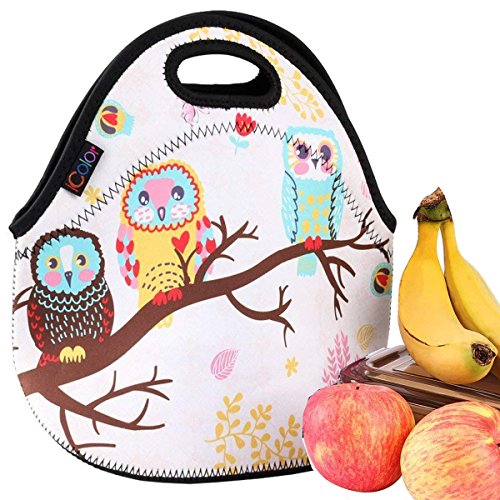 iColor Cute Owls Neoprene Insulated Waterproof Cooler Box Container Soft Case baby lunchbox Handbag Work Travel Outdoor Thermal Lunch Tote Bag School/Office Storage Pouch