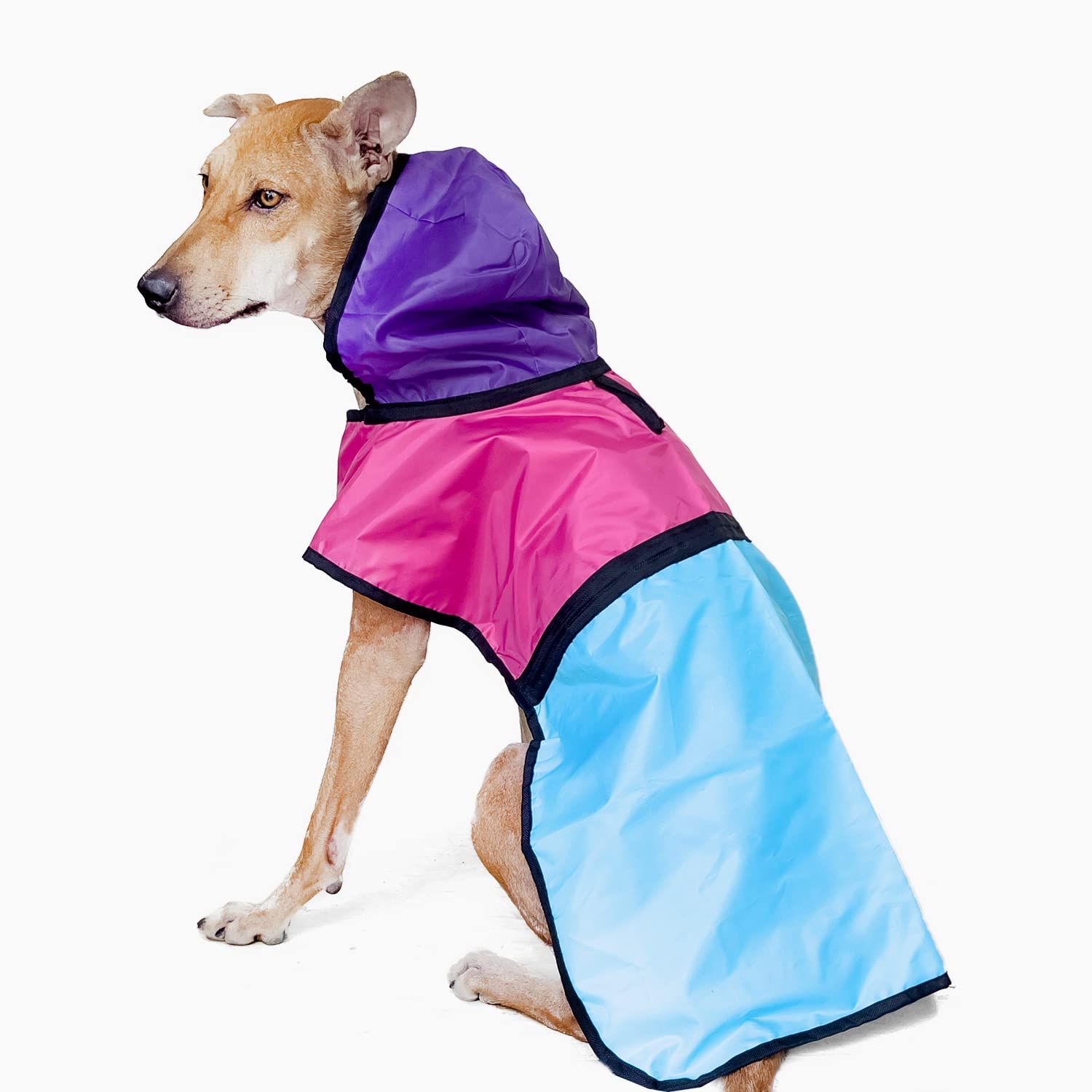 That Dog In Tuxedo Colour Pop Dog Raincoat with Hoodie - Confetti (Confetti, 14) (B09SV47HN5) Amazon Price History, Amazon Price Tracker