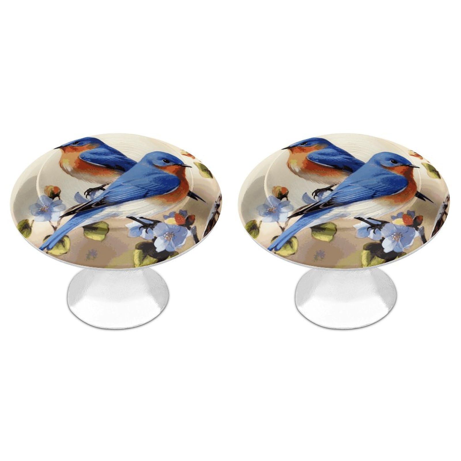 Btcowzrv Style Happy Bluebirds 2 Pack Cabinet Knobs Drawer Pulls