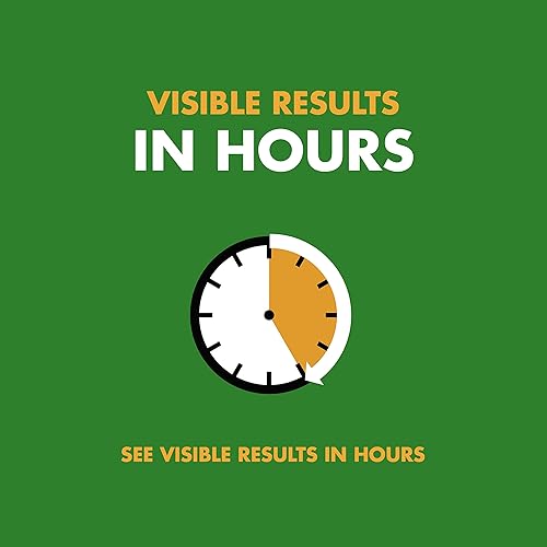 Miniatura 7 de Spectracide Tope de maleza para césped de 1.33 galones, mata más de 200 tipos de maleza, repuesto de pulverizador AccuShot, paquete de 4