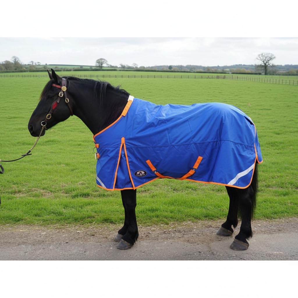 Ruggles 200g Middleweight Turnout Rug for Heavy Horses - Shire Clydesdale Percheron | Durable Teflon Coated Outer Fabric | Ideal for Autumn Winter Spring (Light Delft Blue, 6' 6")