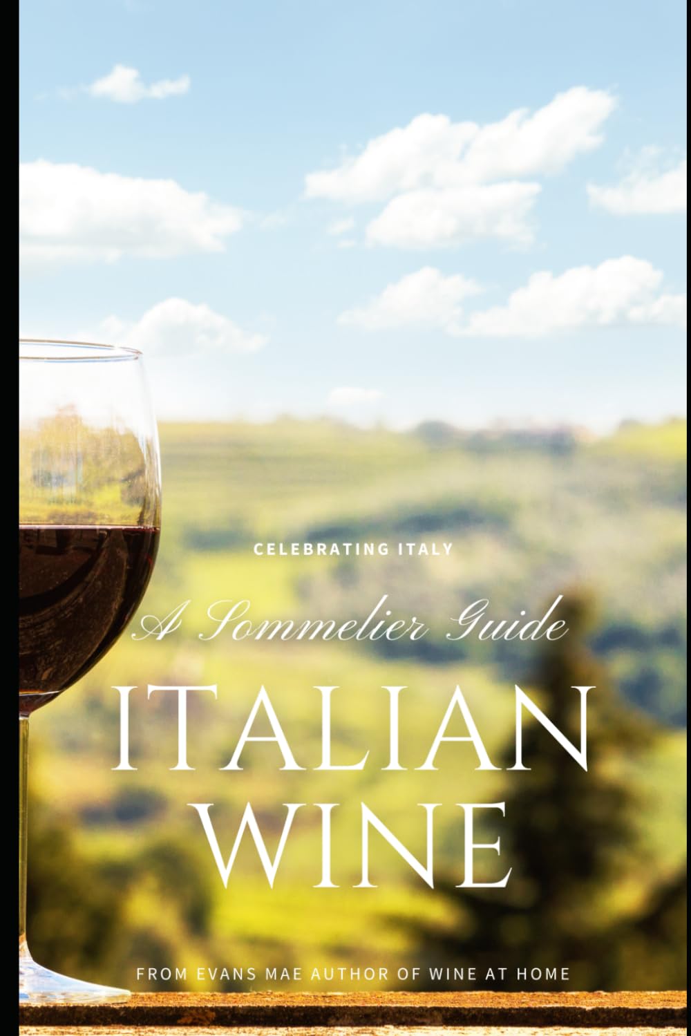 Italian Wine: A Sommelier Guide (World Wine Sommelier)