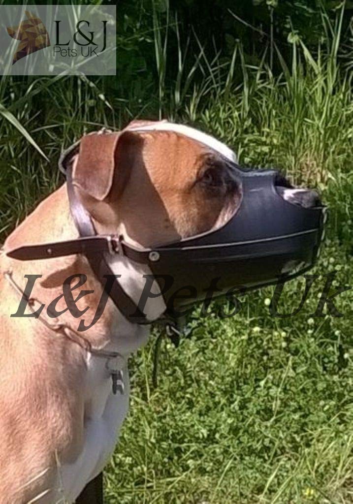 Champion /L&J Pets UK Bozal para perro de piel auténtica fuerte para American Staffordshire Terrier Amstaff (A2, negro)