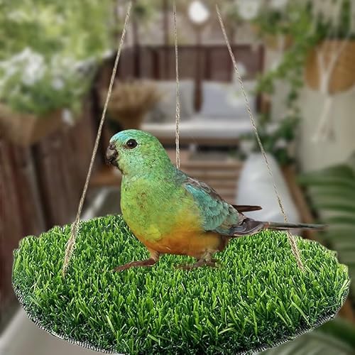 CQJ Reptilien-Hängematten-Schaukel-Hängebett, PP-Graspolster, tragbarer Vogelschaukel, Ständer, natürliche Schaukel, Hängebett für Bartdrachen, Leopard, Gecko, Eidechse, Vögel, Papageien (rund)