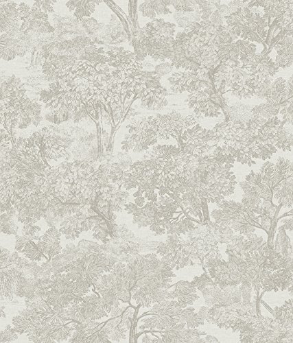Chesapeake 3112-002722 Blyth Toile Wallpaper, Grey #TOP10