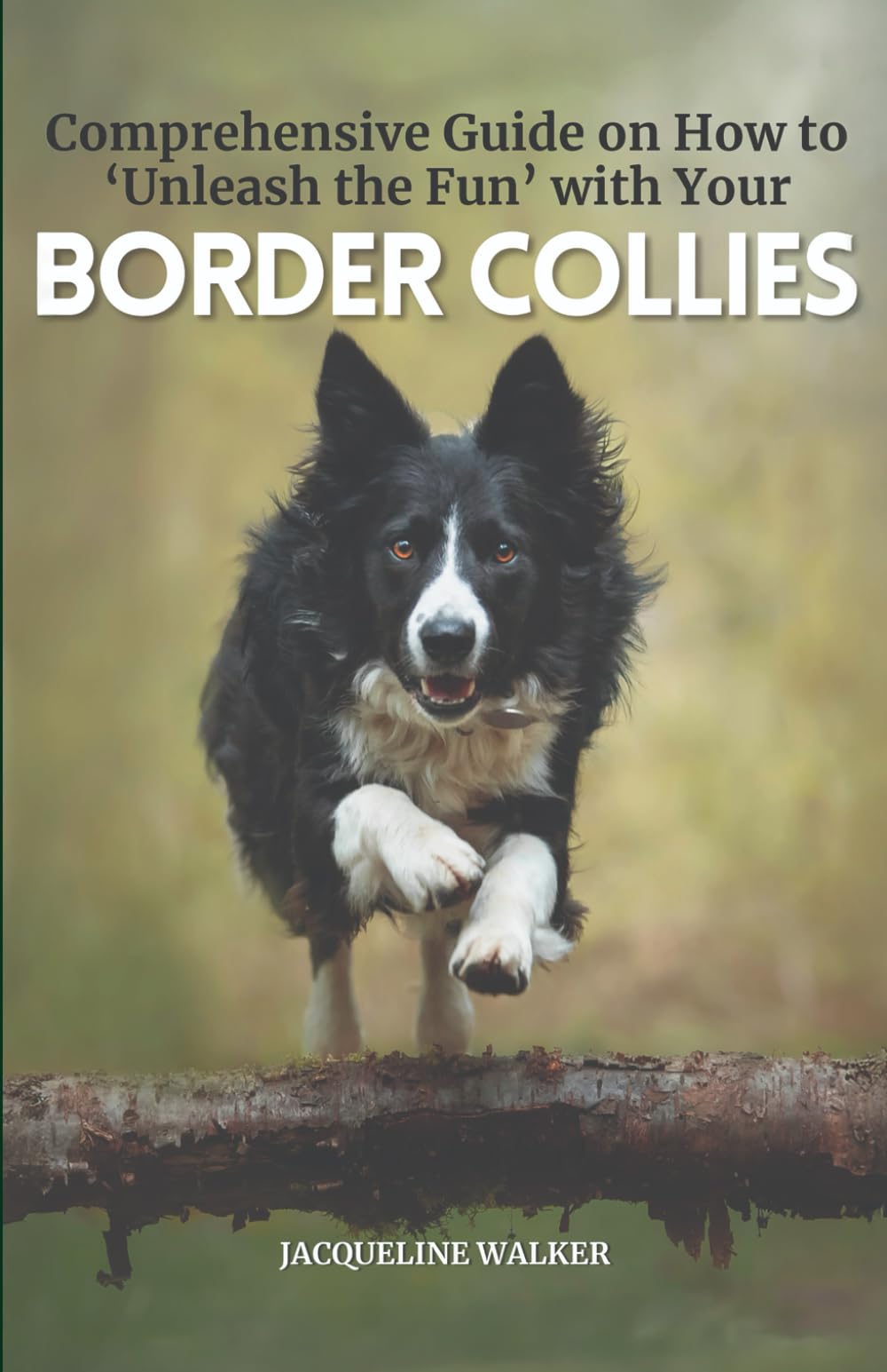 Comprehensive Guide on How to Unleash the Fun with Your Border Collies