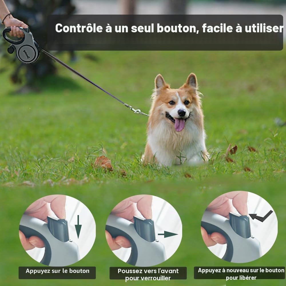 Laisse Rétractable pour Chien 8 m, Extensible, Taille Moyenne et Grande (Jusqu'à 50kg), Corde élastique Double, Gris