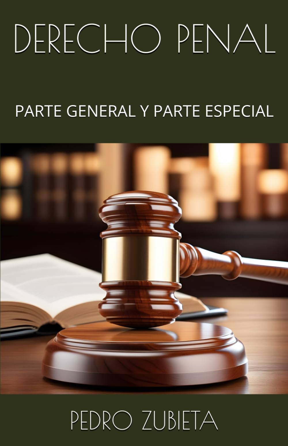 DERECHO PENAL: PARTE GENERAL Y PARTE ESPECIAL