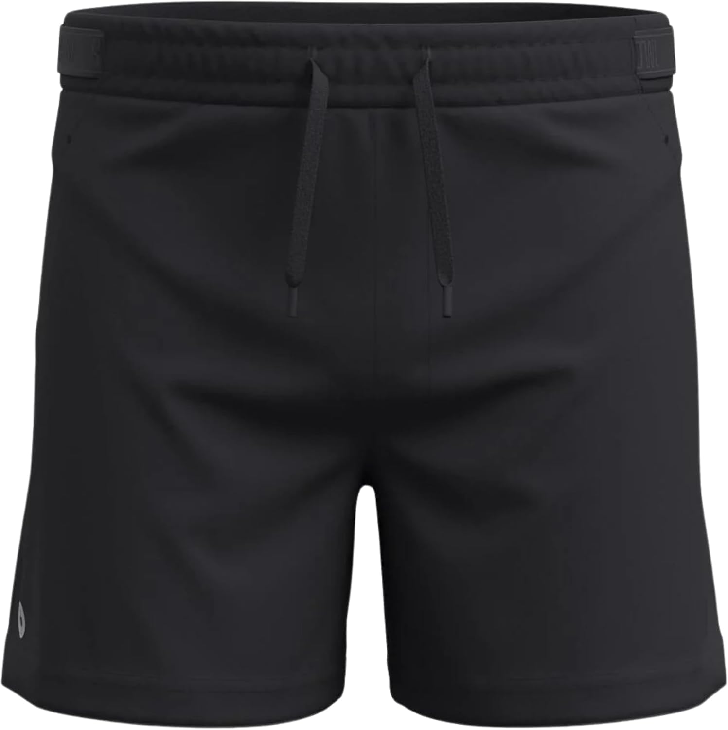 Smartwool Men's Active Lined 5" Shorts