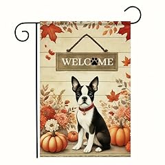 Boston Terrier Puppy