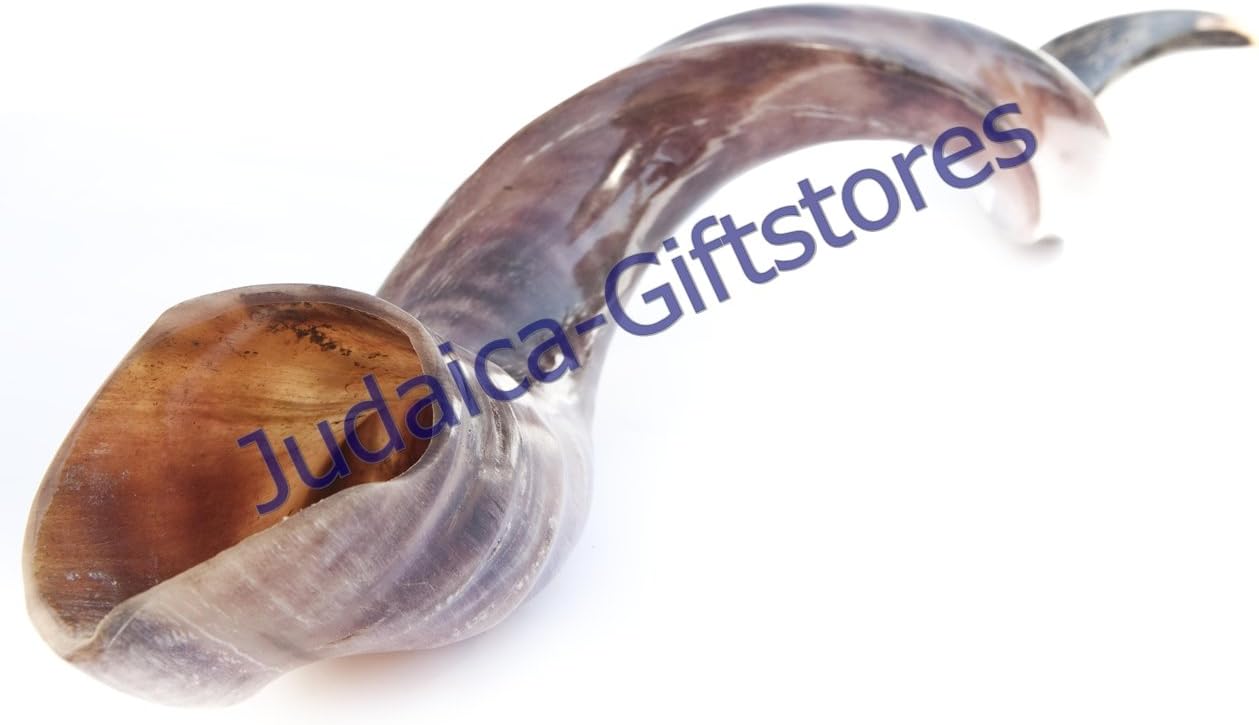 Jumbo Yemenite Shofar 3543 inch Home & Kitchen