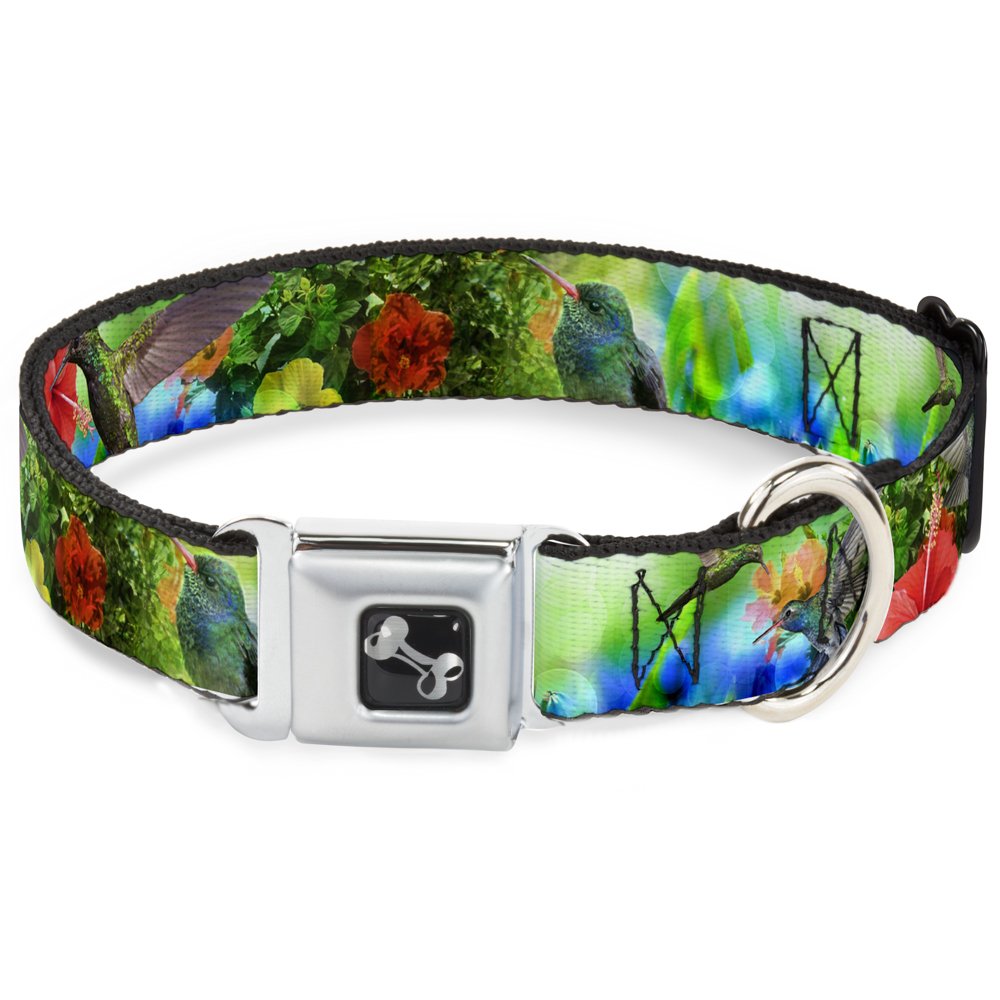 Collier de chien Buckle Down anti-évasion et robuste pour petit chien actif