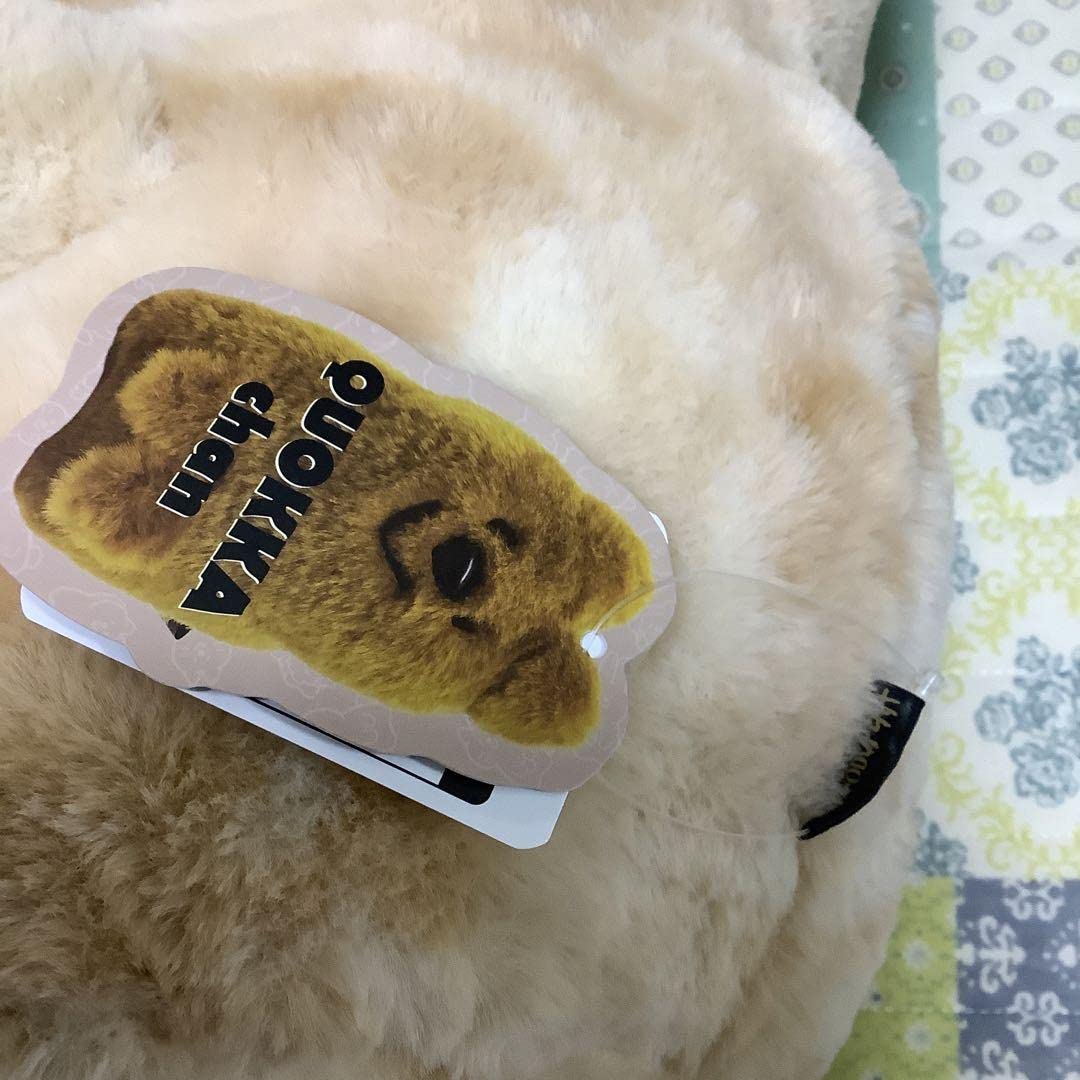 クオッカちゃん 白 ジャンクフードオペラ ぬいぐるみ Amazon.co.jp: しまむら クオッカちゃん ぬいぐるみ ジャンク