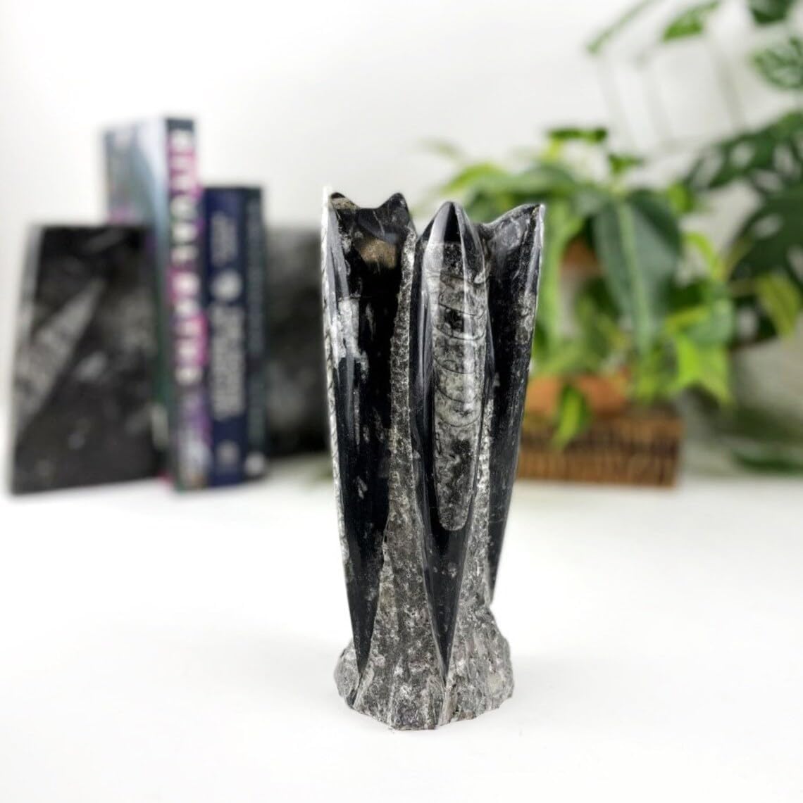 PANAKUMUS Orthoceras Fossil Tower or Kuber Stone Tower Weight1000-2000 GM | Premium 8-9 Inch Handcrafted Ancient Fossil Decorl for Wealth Prosperity & Grounding Energy-image-7