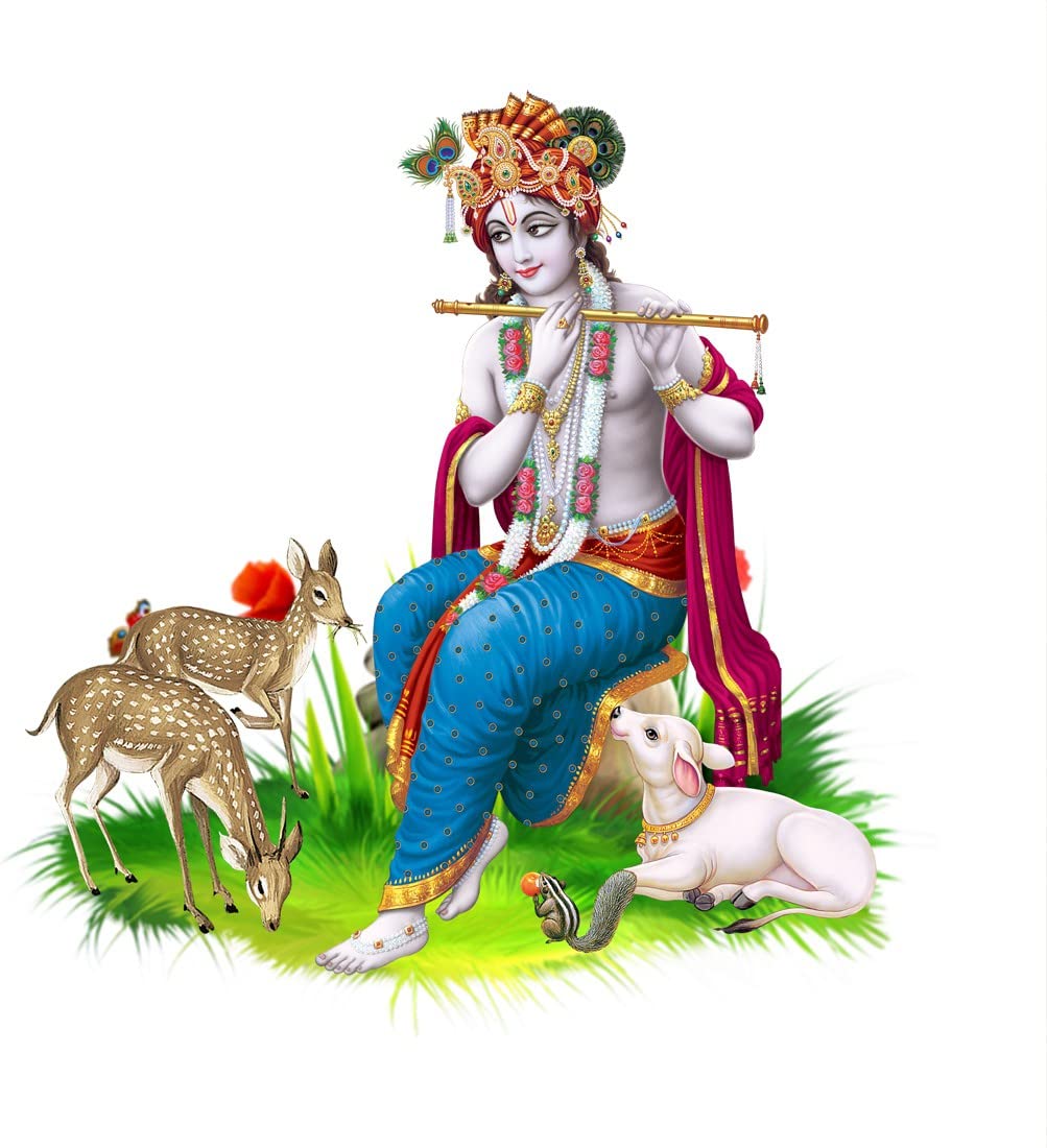 See full amazon price history chart for god & gods Large Wall Sticker JUST Peel & Stick Size 50 or 60 cm Pack of 1 (Code GS1327 god & gods Large Wall Sticker JUST Peel & Stick Size 50 or 60 cm Pack of 1 (Code GS1327 (B0BQJ1X5L6) Amazon Price History, Amazon Price Tracker