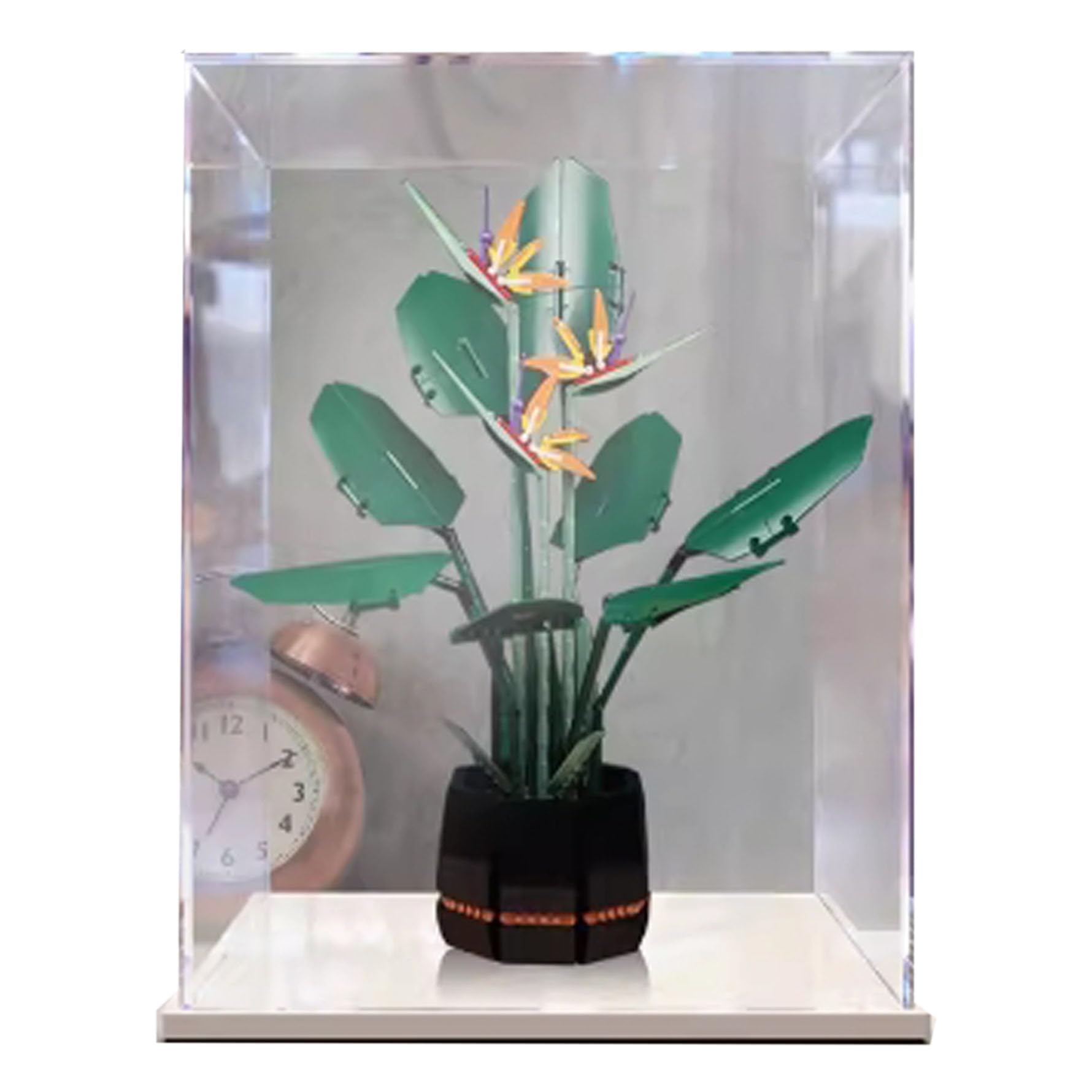 Amazon.com: YANGJIAN Acrylic Display Case for Lego 10289 Bird of