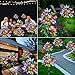 Adecorty Solar Garden Lights Outdoor Waterproof Decorative Solar Lights Outdoor 2 Pack with 44 LED 34 Butterfly Flower Garden Decor Yard Patio Lawn, Gifts for Mother's Day Mom Women