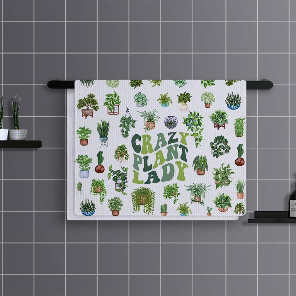 Trapos Cocina Plantas Verdes De Cactus Paños de Cocina Suaves y Absorbentes Paños Cocina Reutilizables Trapos de Cocina para Secar Toallas Lavable Toallas de Barra Juego de 4 (40x60cm)
