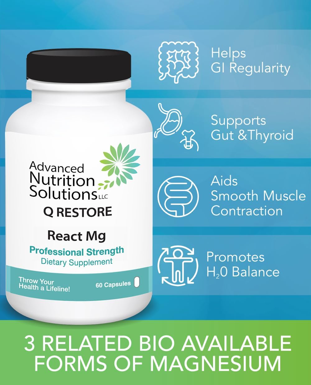 Advanced Nutrition Solutions Q Restore React Mg - 3 chelated bioavailable Forms of Magnesium. Water Balance, GI, Thyroid 60 caps