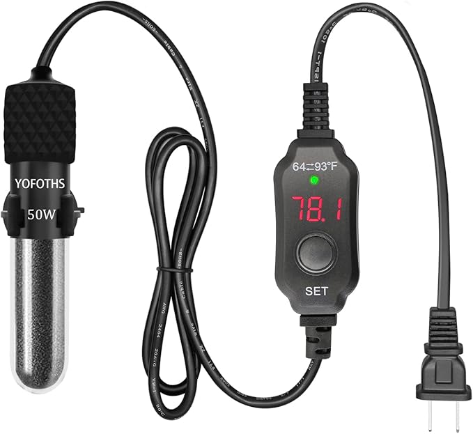 The 6 Best Aquarium Heaters for 10Gallon Tank